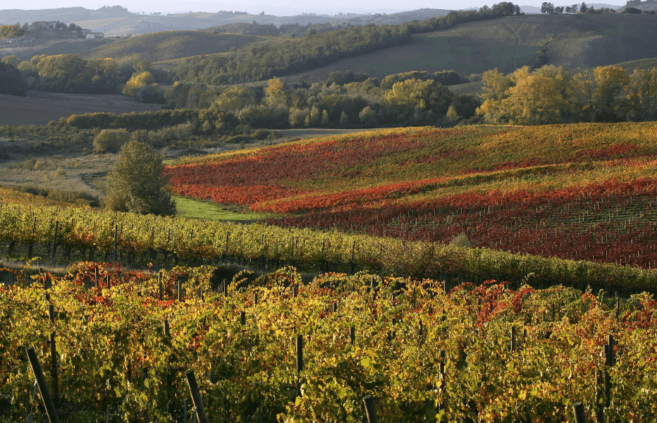 Chianti Classico Territory