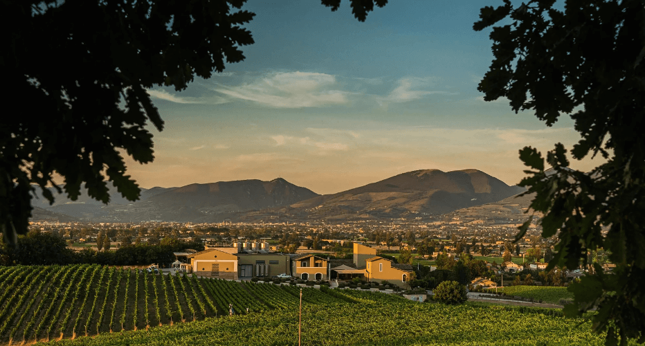 The Arnaldo Caprai Winery