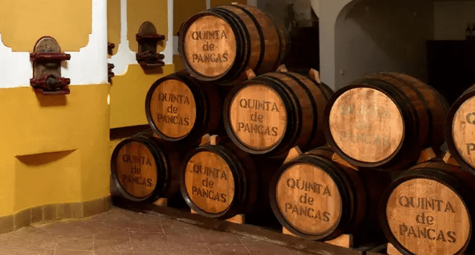 French Oak Barrels