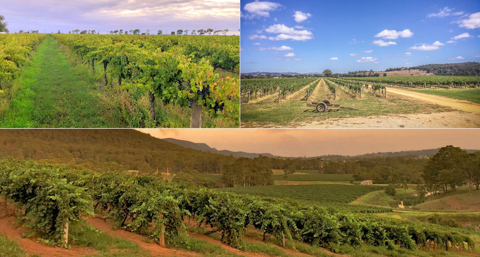 Cael's Gate - Wine Growing Regions