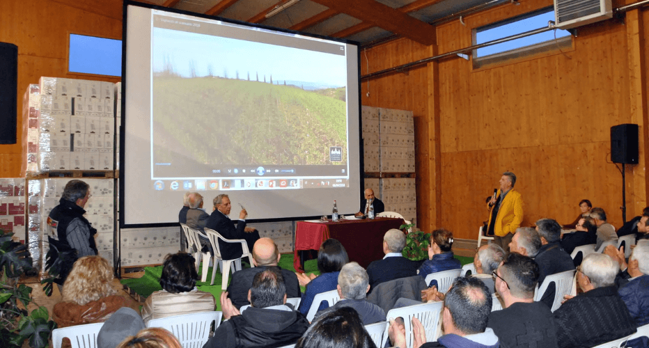 Cantina Vignaioli del Morellino di Scansano