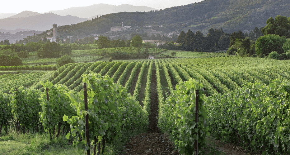 Valley d’Oro