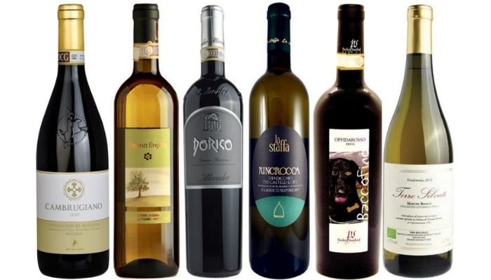 Making a mark in Le Marche - Decanter