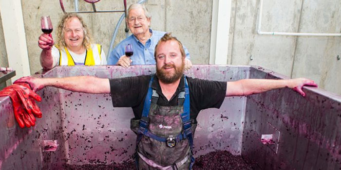 winery of the year