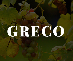 Greco White Grape