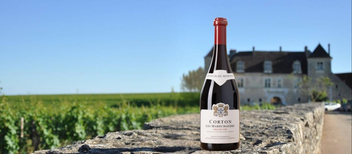 Corton Grand Cru Wins at 2025 London Wine Competition