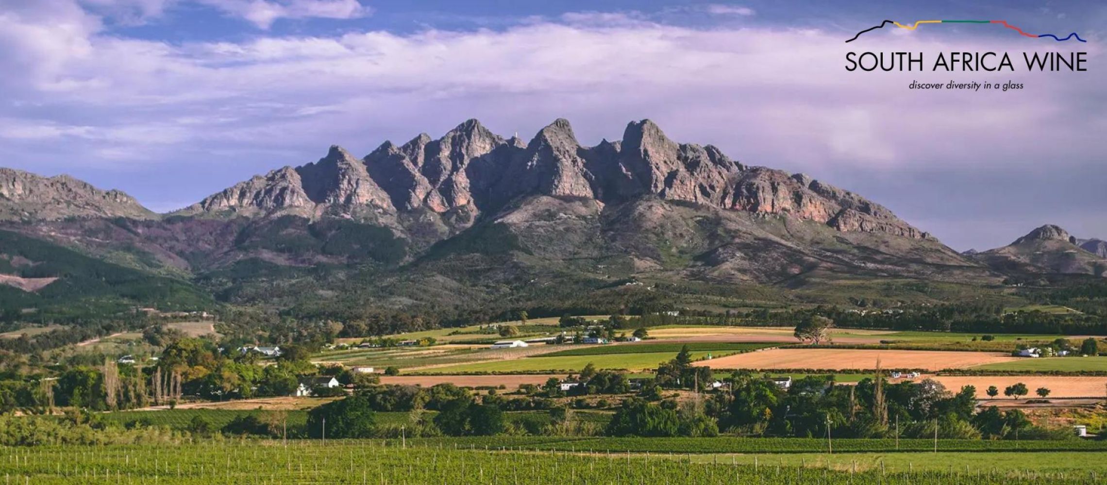 Photo for: South Africa Wine Part One: Industry Growth and Black Power