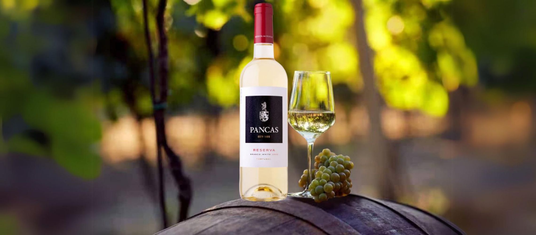 Photo for: At the London Wine Competition 2025, Pancas Reserva Brings Portugal into Focus