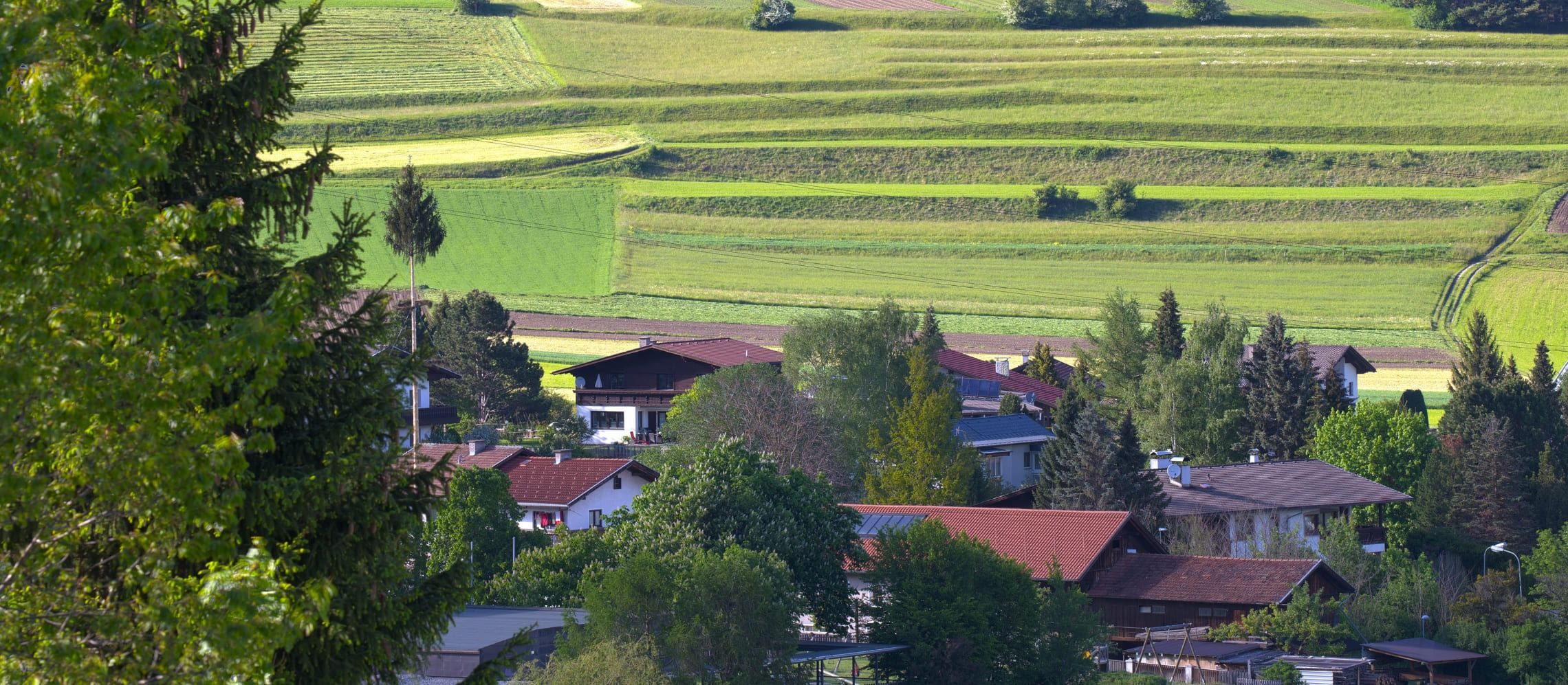 Photo for: Austrian Wine Marketing Board