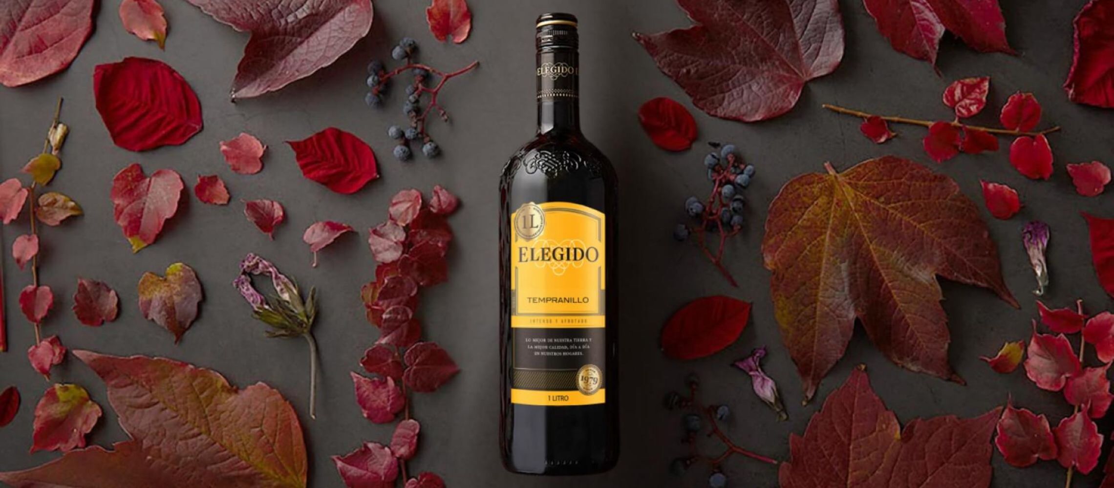 Photo for: Elegido Tempranillo Red Wins ‘Best Value’ at London Wine Competition 2025
