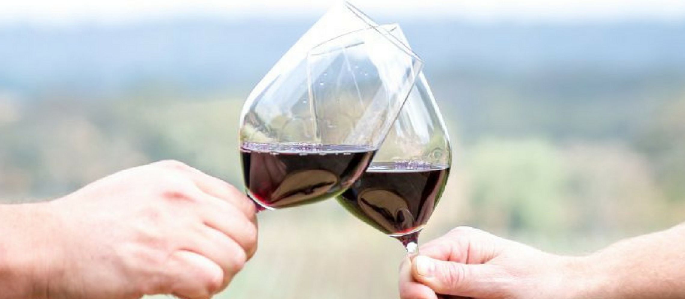 Photo for: Latest Wine Trends in Europe