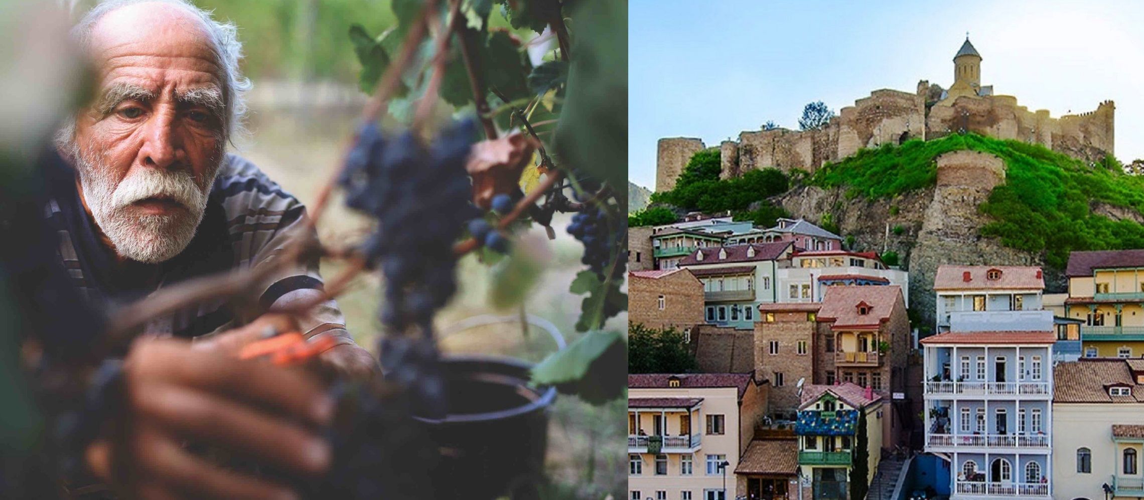 Photo for: Why Demand From Less Known Wine Regions And Countries Is On The Rise 