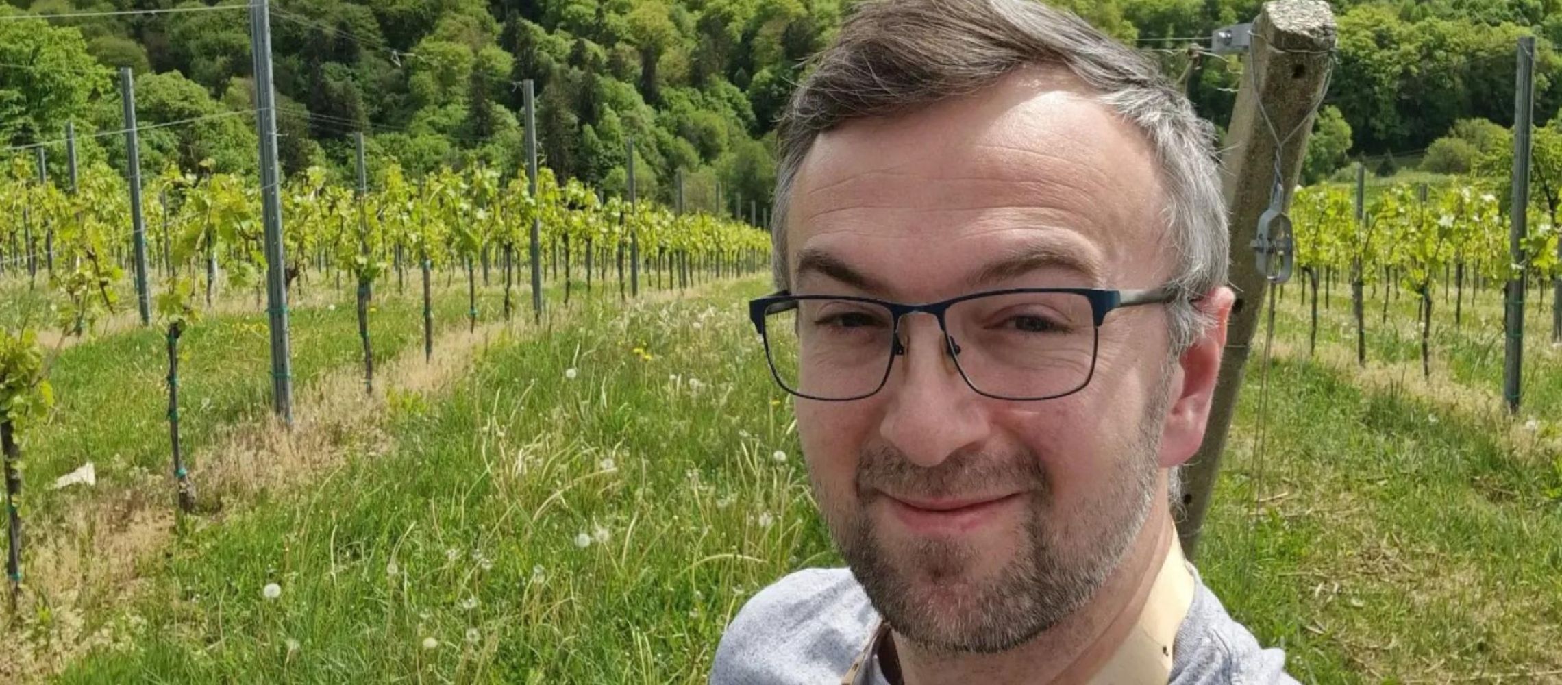 Photo for: Behind the Basket: How Ocado's Will Hill Chooses Wines for UK Consumers