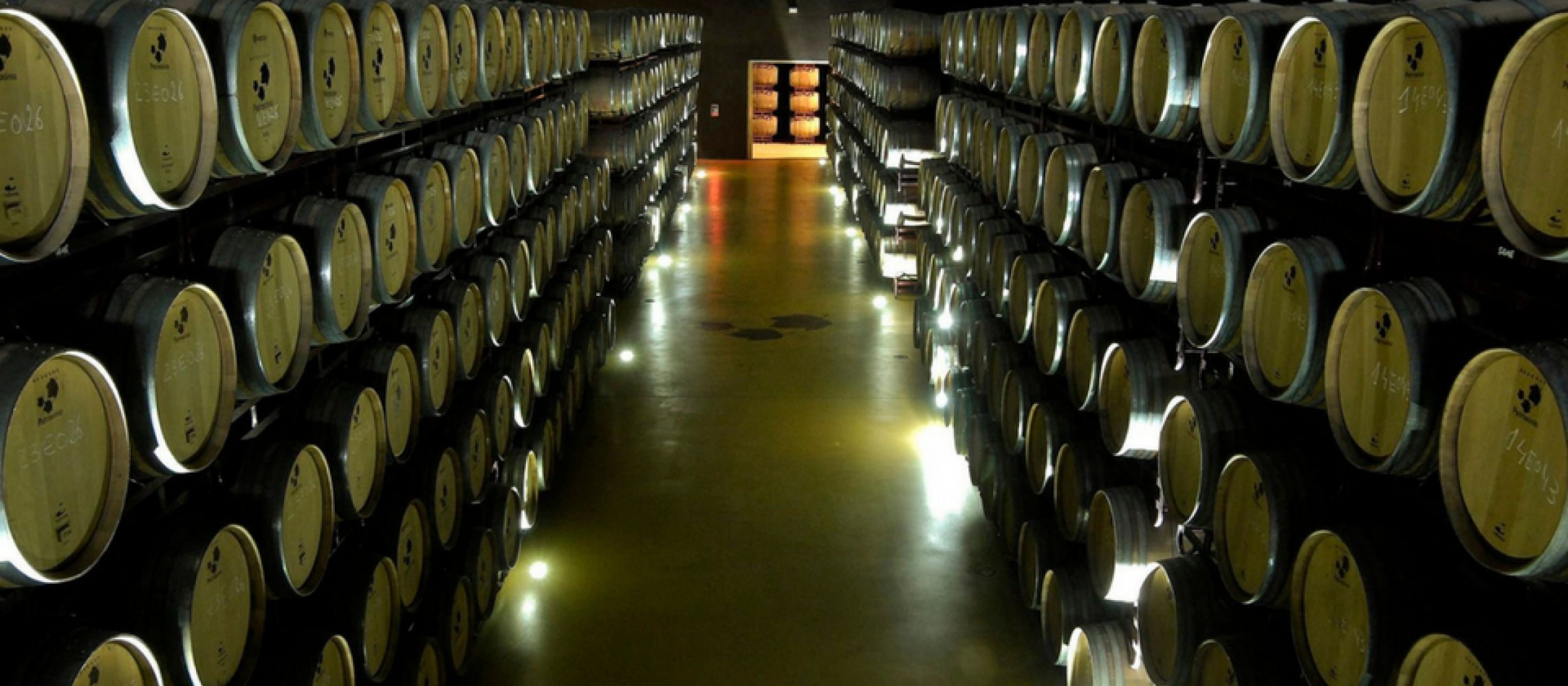 Photo for: Bodegas Patrocinio- A Co-Operative Winery in Spain
