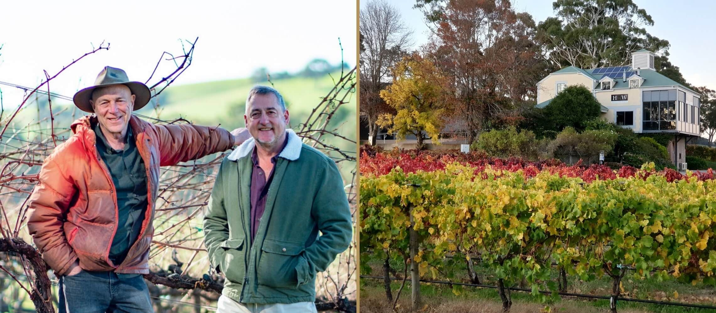 Photo for: The first Aussie producers of Gruner Veltliner