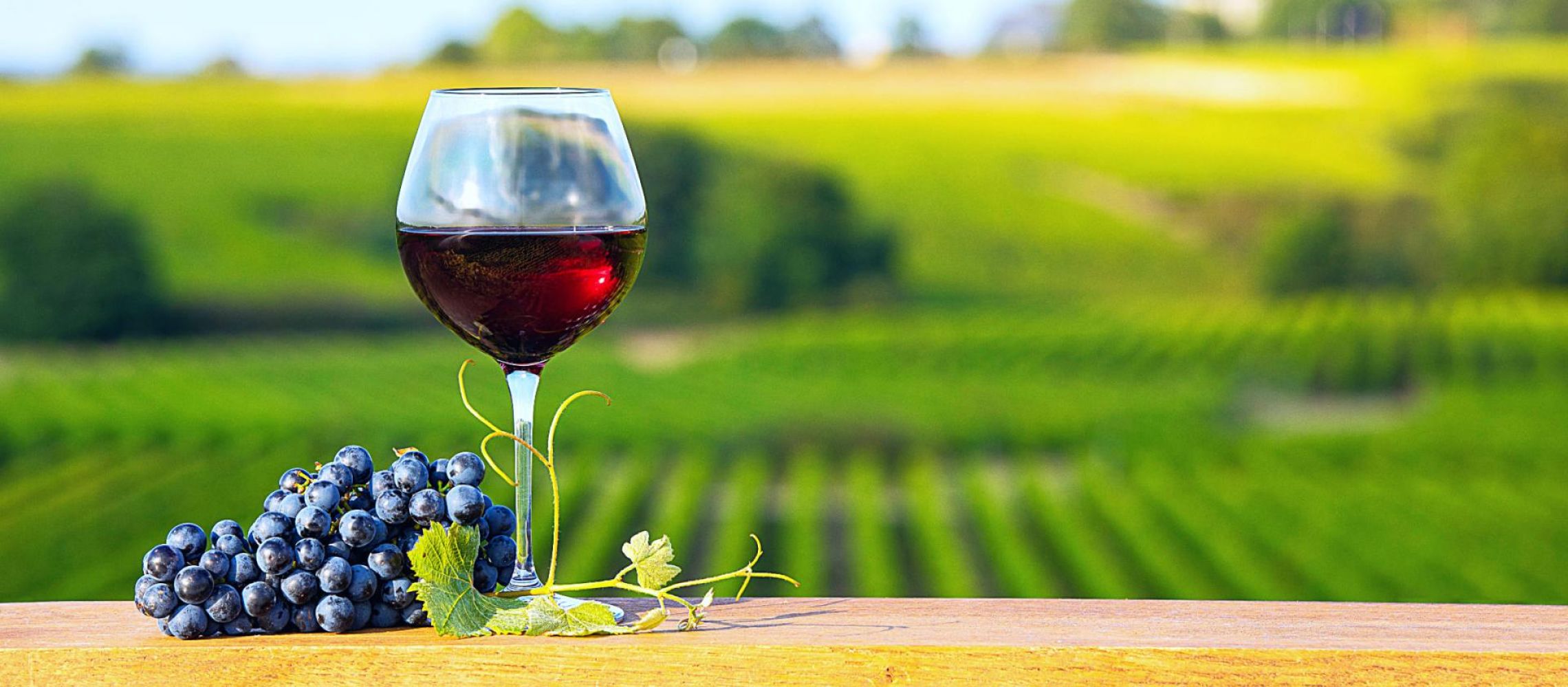 Photo for: Here’s A Peek Into The Top-Rated Merlots From The London Wine Competitions 2024