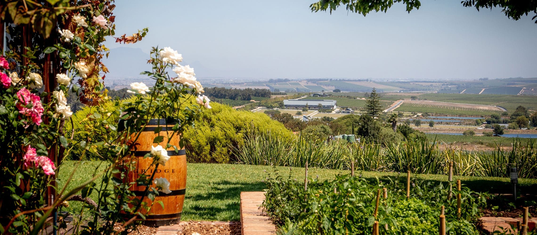 Photo for: Winery Day Road Trip Around London In COVID-19