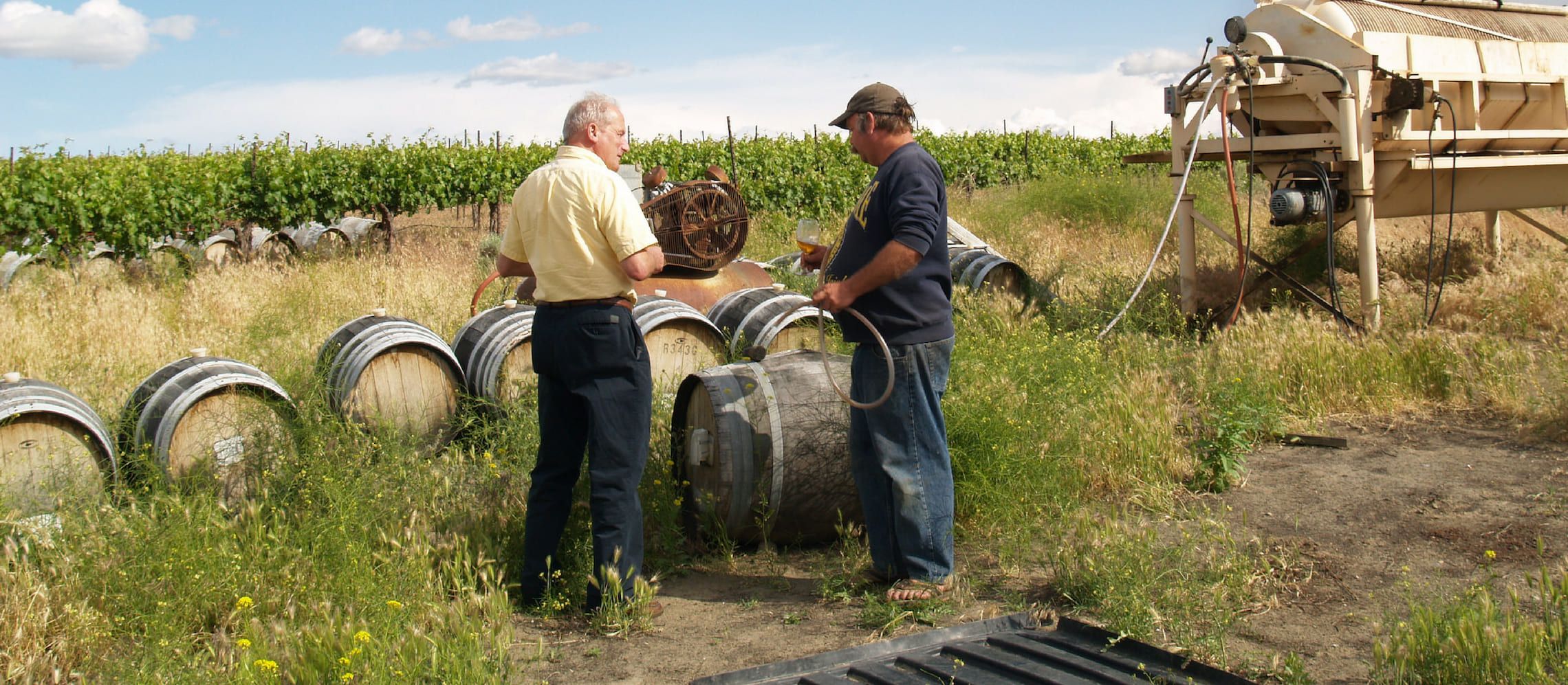 Photo for: Affecting Innovation in Winemaking