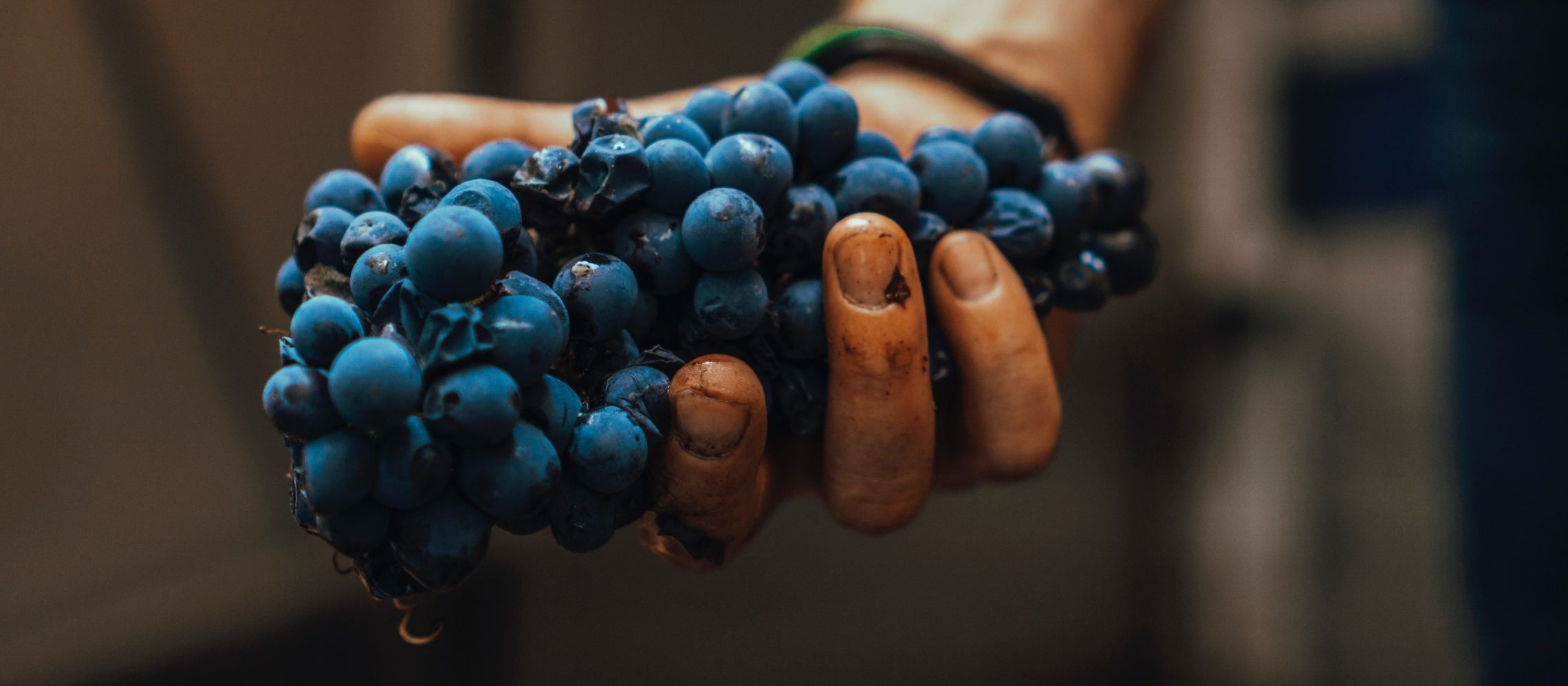 Photo for: 10 Winemakers That are Buzzing on LinkedIn 