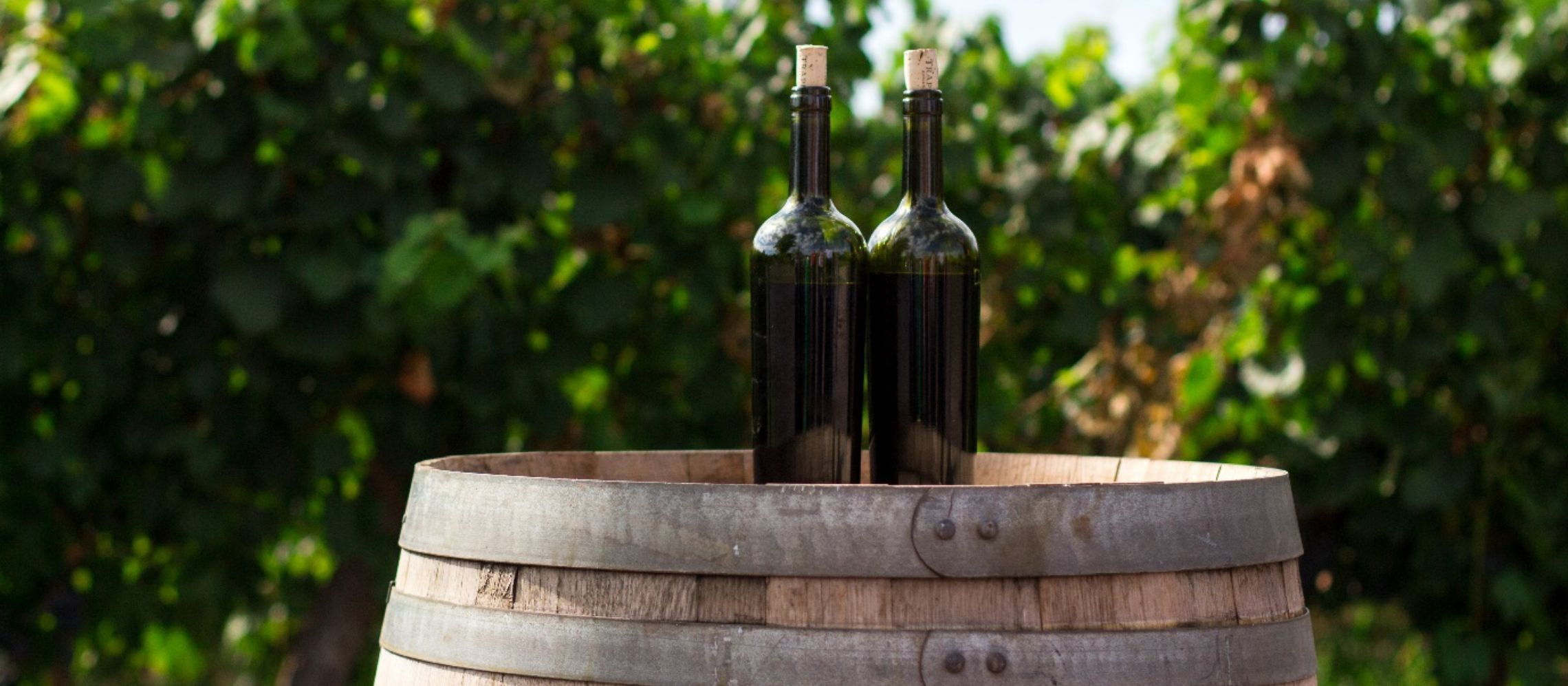 Photo for: 10 Wineries That are Doing Great Instagram Marketing 