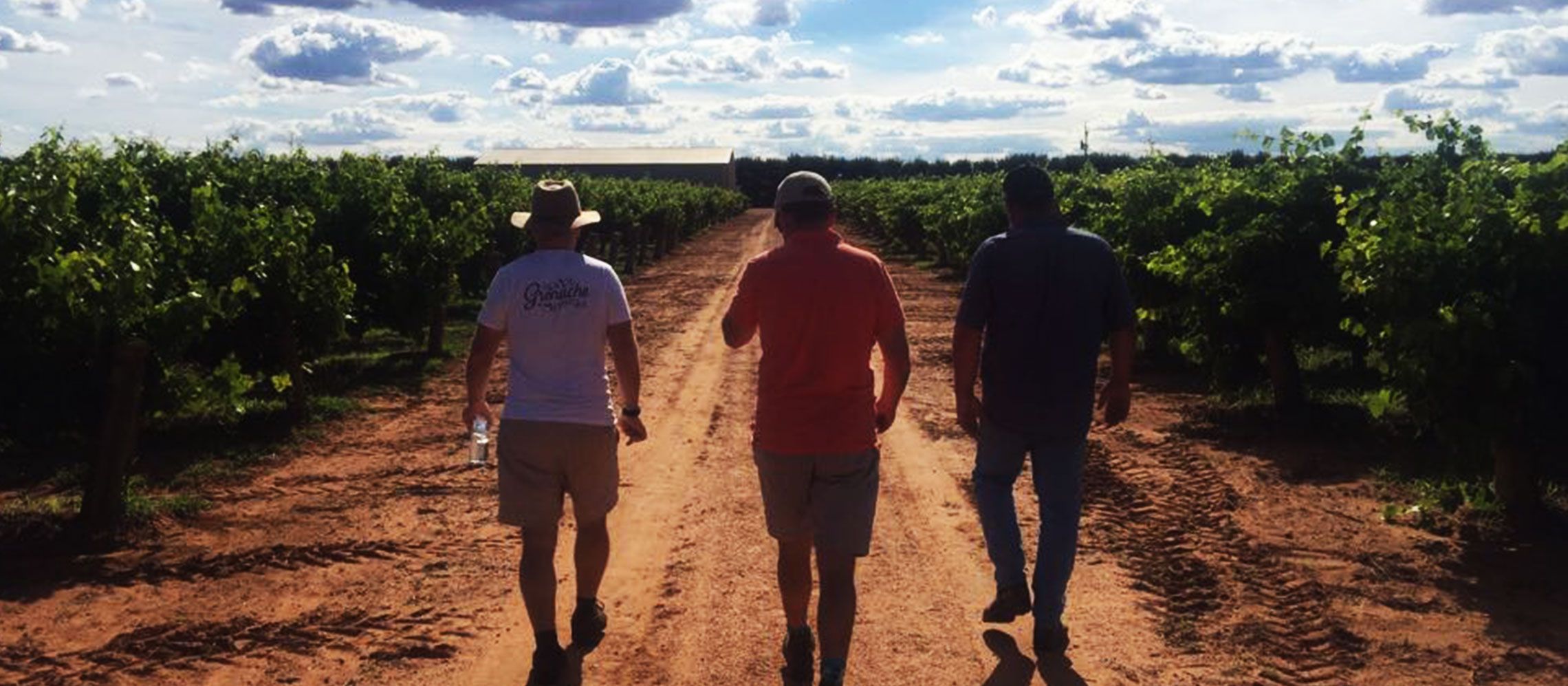 Photo for: In Conversation With James Mackenzie, Marketing Director, Alliance Wines, UK