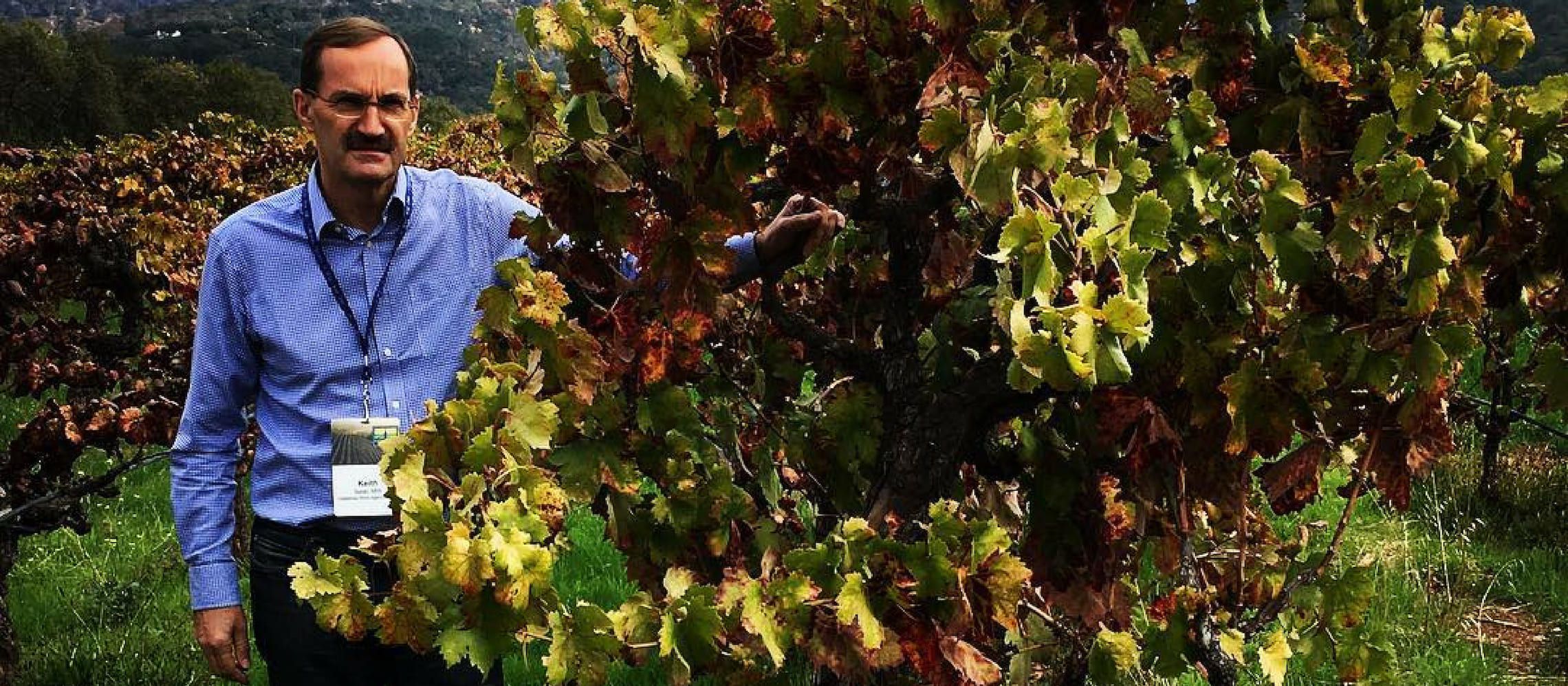 Photo for: Keith Isaac, GM of the Leading UK Wine Import House