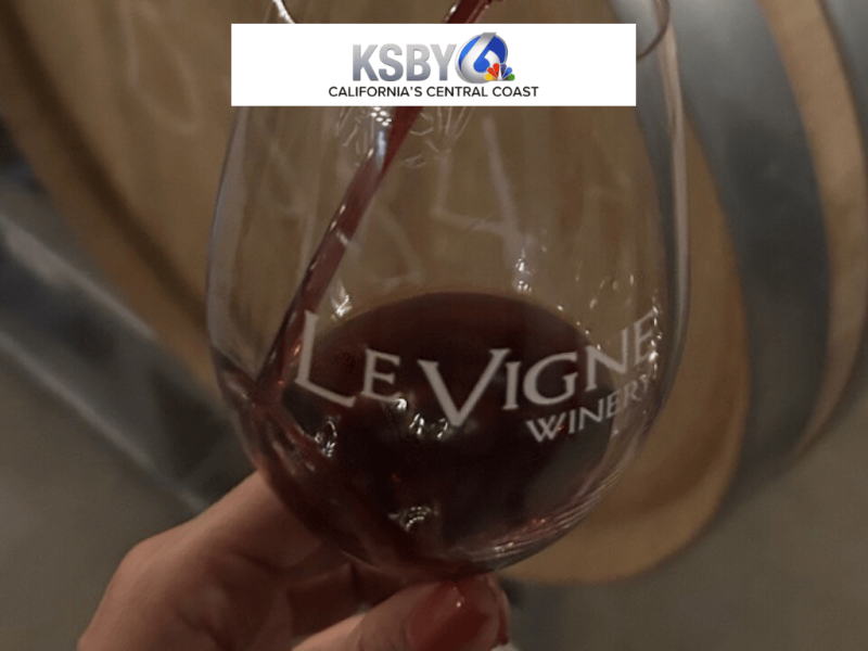 Photo for: Paso Robles winery named Winery of the Year USA at 2026 London Wine Competition