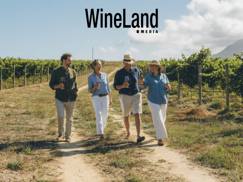 Photo for: Why the London Wine Competition is different – and why that matters to South African wineries
