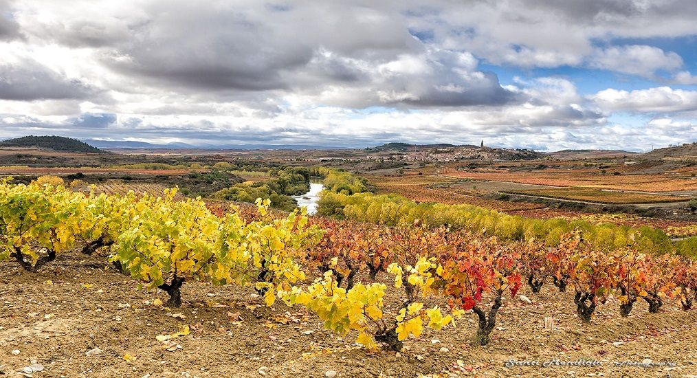 Photo for: Rioja