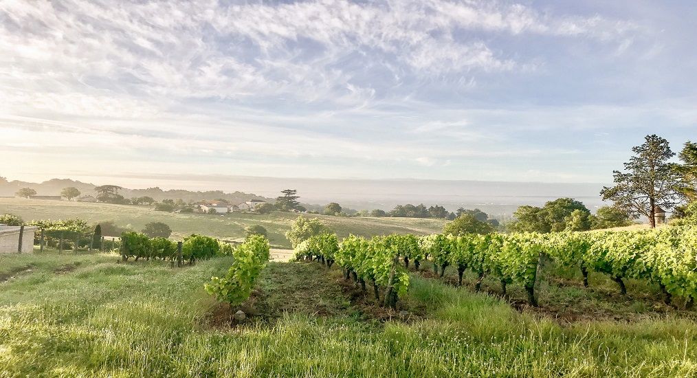 Photo for: Bergerac
