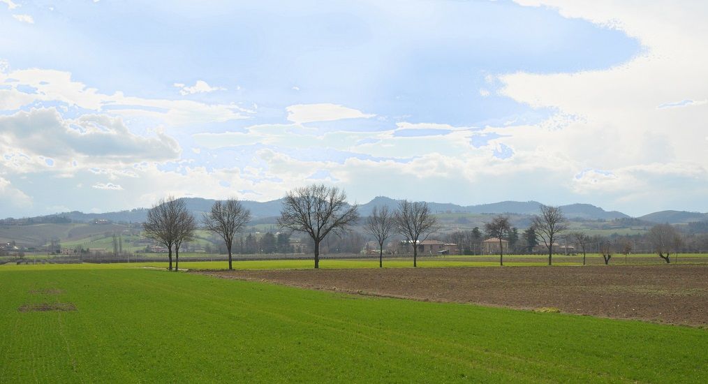 Photo for: Emilia-Romagna