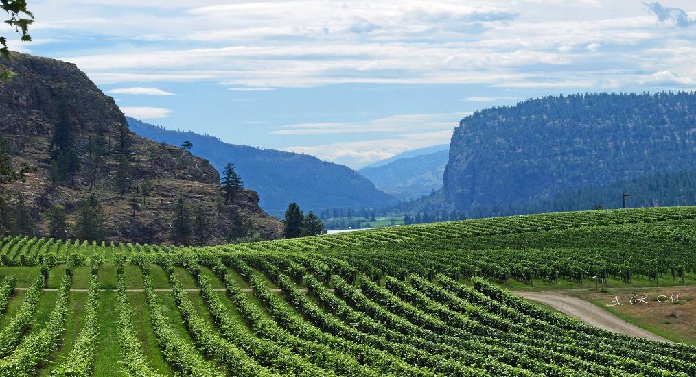 Photo for: Columbia Valley