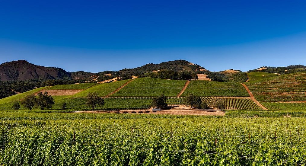 Photo for: Napa Valley