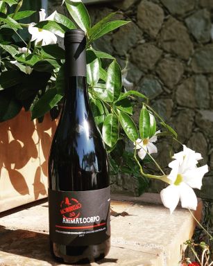 Logo for: Animaecorpo