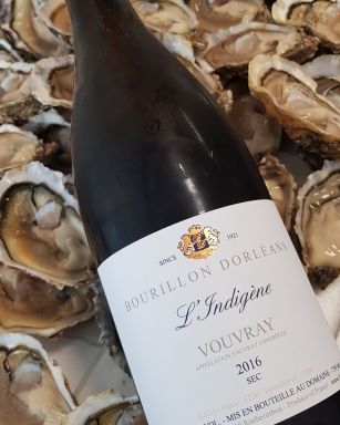 Logo for: L'indigene