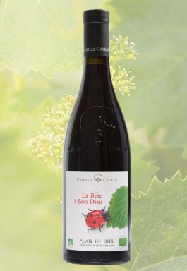 Logo for: Camille Cayran 