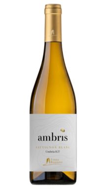 Logo for: Ambris 