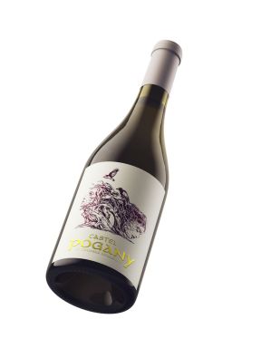 Logo for: Castel Pogany