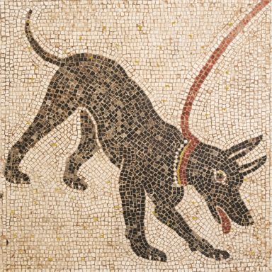 Logo for: Levrier by Jo Irvine 2015 Argos Shiraz