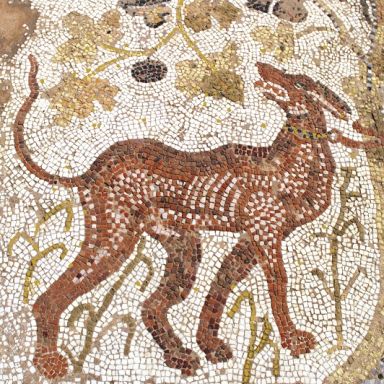 Logo for: Levrier by Jo Irvine 2017 Peritas Zinfandel