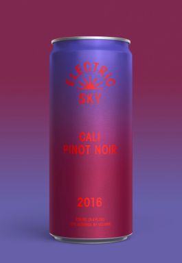 Logo for: Electric Sky