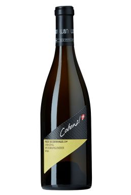 Logo for: Ried Seidenhaus 1ÖTW - Grinzing, Pinot Blanc