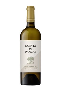 Logo for: Quinta de Pancas Branco