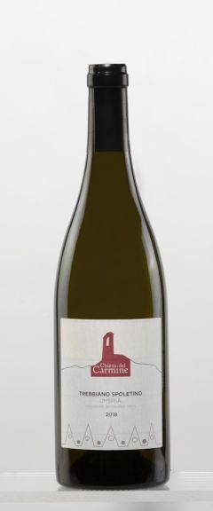 Photo for: Chiesa Del Carmine