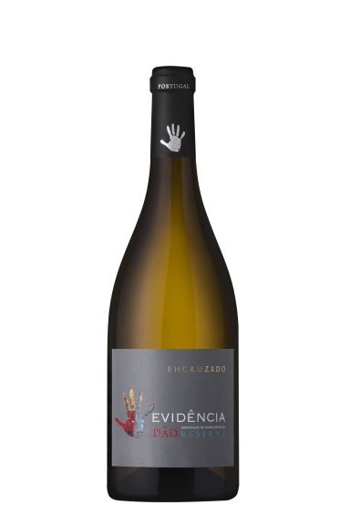 Photo for: Evidência Reserva