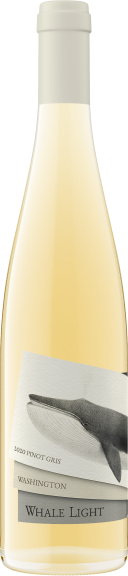 Photo for: Whale Light Pinot Gris