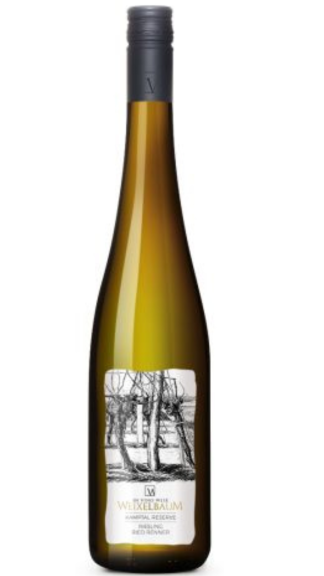 Photo for:  Riesling Ried Renner 2019