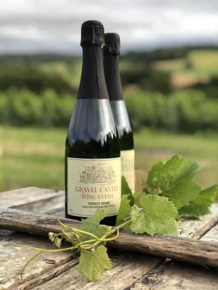 Photo for: Gravel Castle