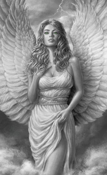 Photo for: NOTRE DAME DE POSTIAC - SAUVIGNON BLANC