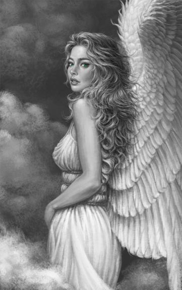 Photo for: Notre Dame De Postiac - Sauvignon Gris